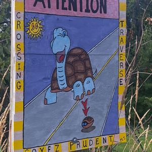 Ride image