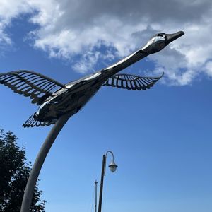 Ride image