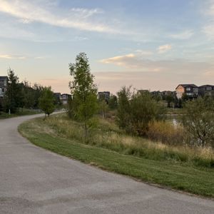 Ride image