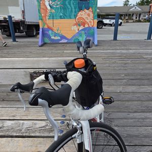 Ride image