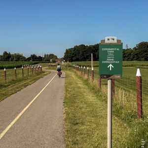 Ride image