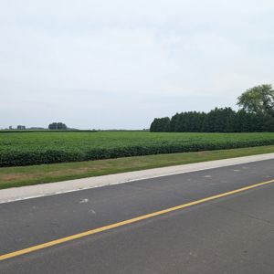 Ride image