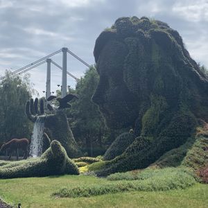 Ride image