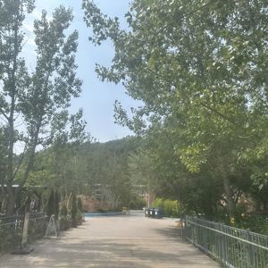 Ride image