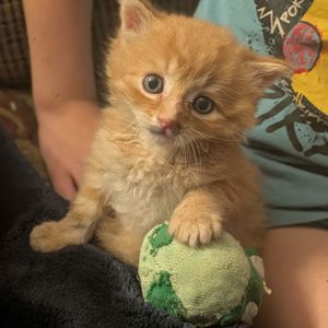 Update2770728