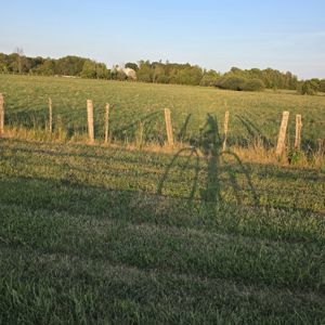 Ride image