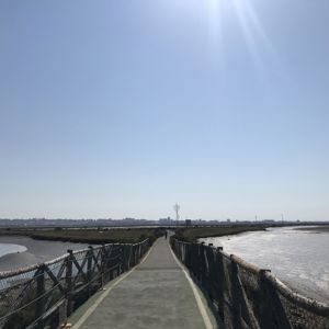 Ride image