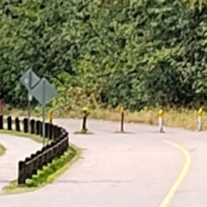 Ride image