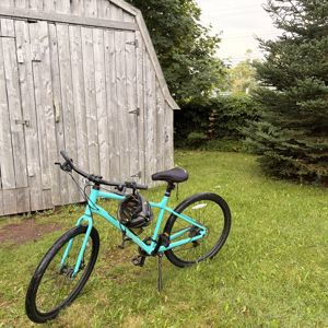 Ride image