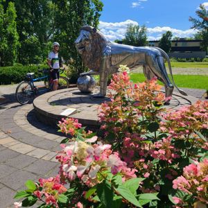 Ride image
