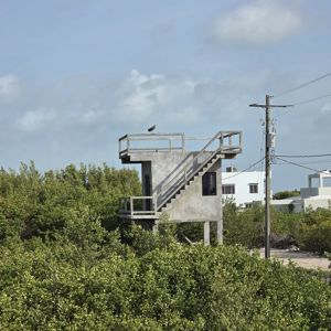 Ride image