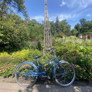 Ride image