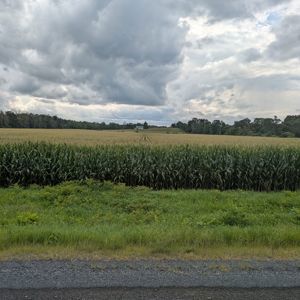 Update2804323