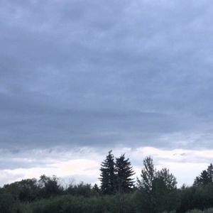 Update2806012