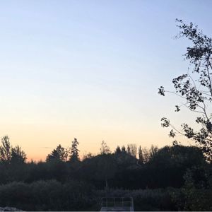 Update2808811