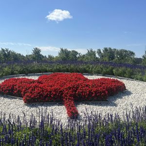 Ride image