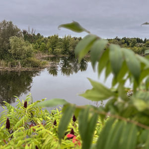 Ride image