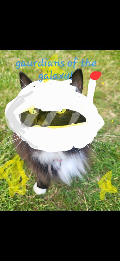 Guardians of the galaxy