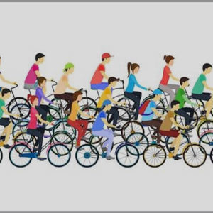 Cycle-Vii