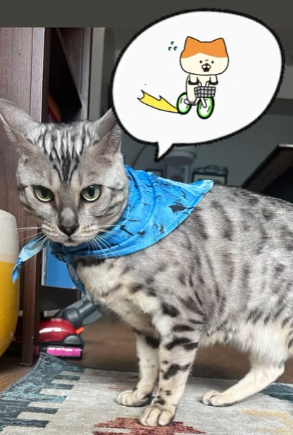 Denji's Spin Class