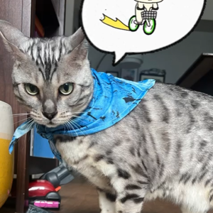 Denji's Spin Class