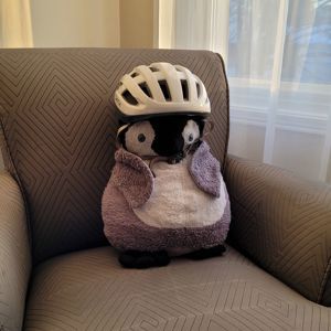 Penguin Power