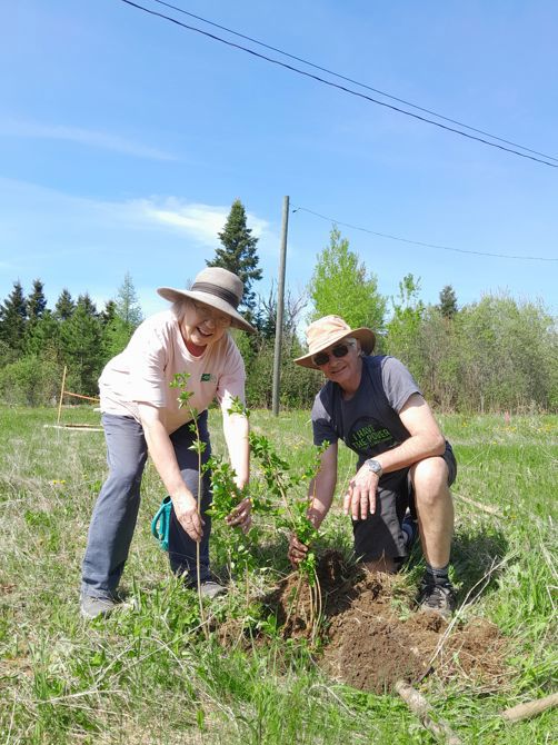 Planting a memory of Griff Bell in New Brunswick