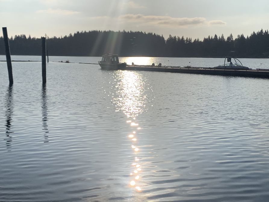 Comox lake ride