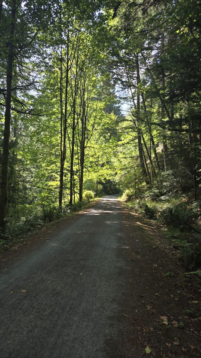 Looking down the trail.