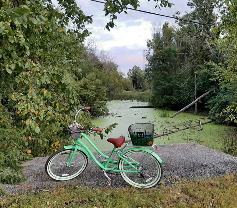 Relaxing Evening Ride