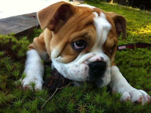 Time to ride for what is right