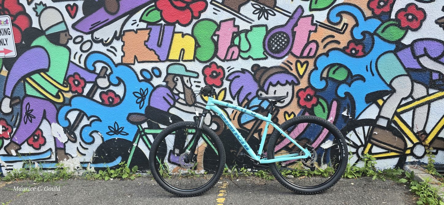 The New Bike