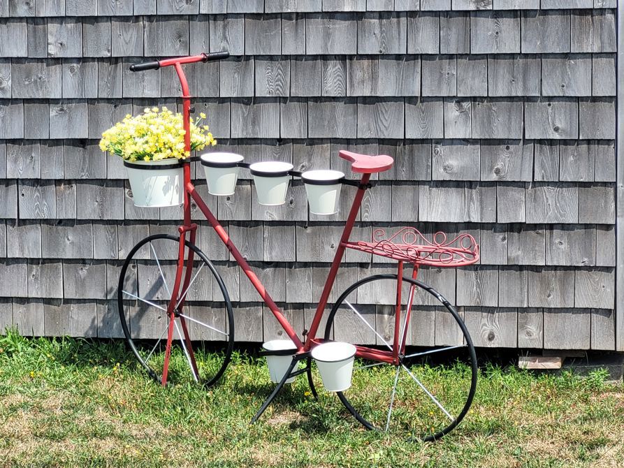 #GCC2025 RIDE 3  - solo Cassie-Cape