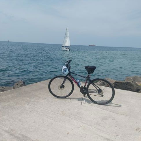 The family trauma of cancer.