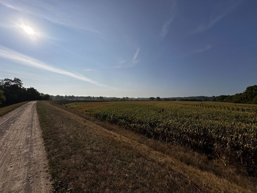 Beautiful Morning in Brantford