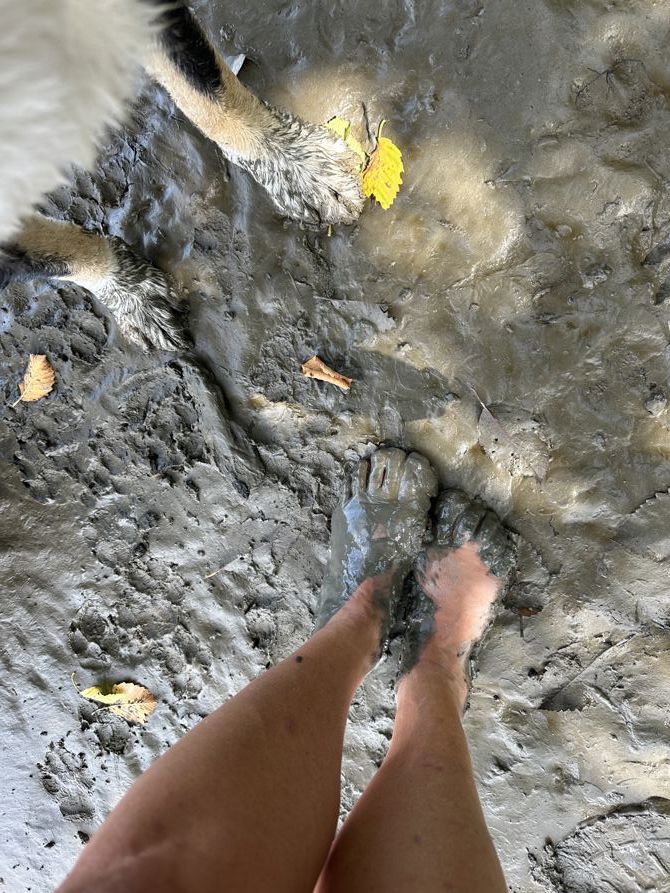 Take a break to reenergize…