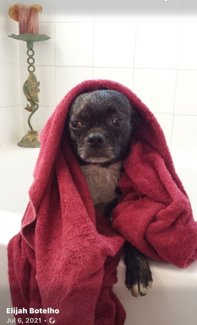 10th of August 2025…Completed my 100kms for this fundraising.