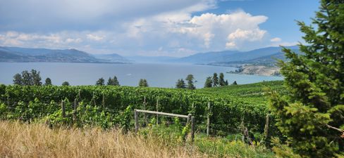 Wineries