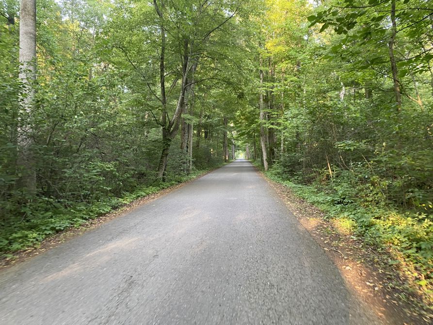 One Week (and a bit) In