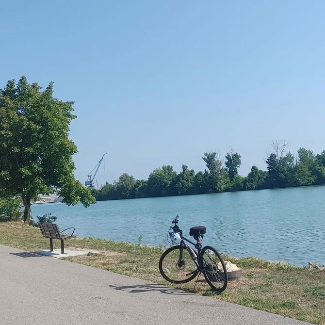 Friday morning for the Kids