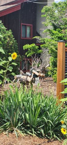 What's in your backyard?