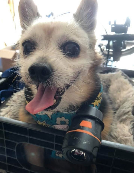 Ride in memory of Joe Louis. My wing man.