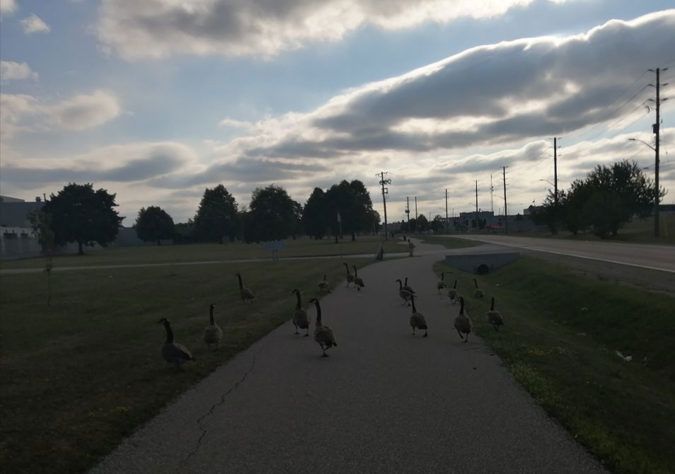 Aug 17 Ride