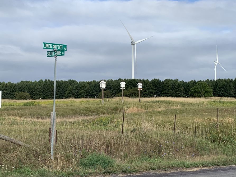 Ride 5 - Amherst Island South Shore