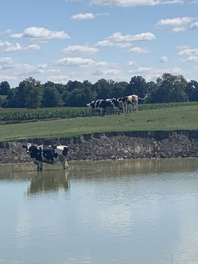 WOW… Day 21 already!!