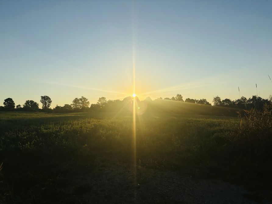 Early morning ride
