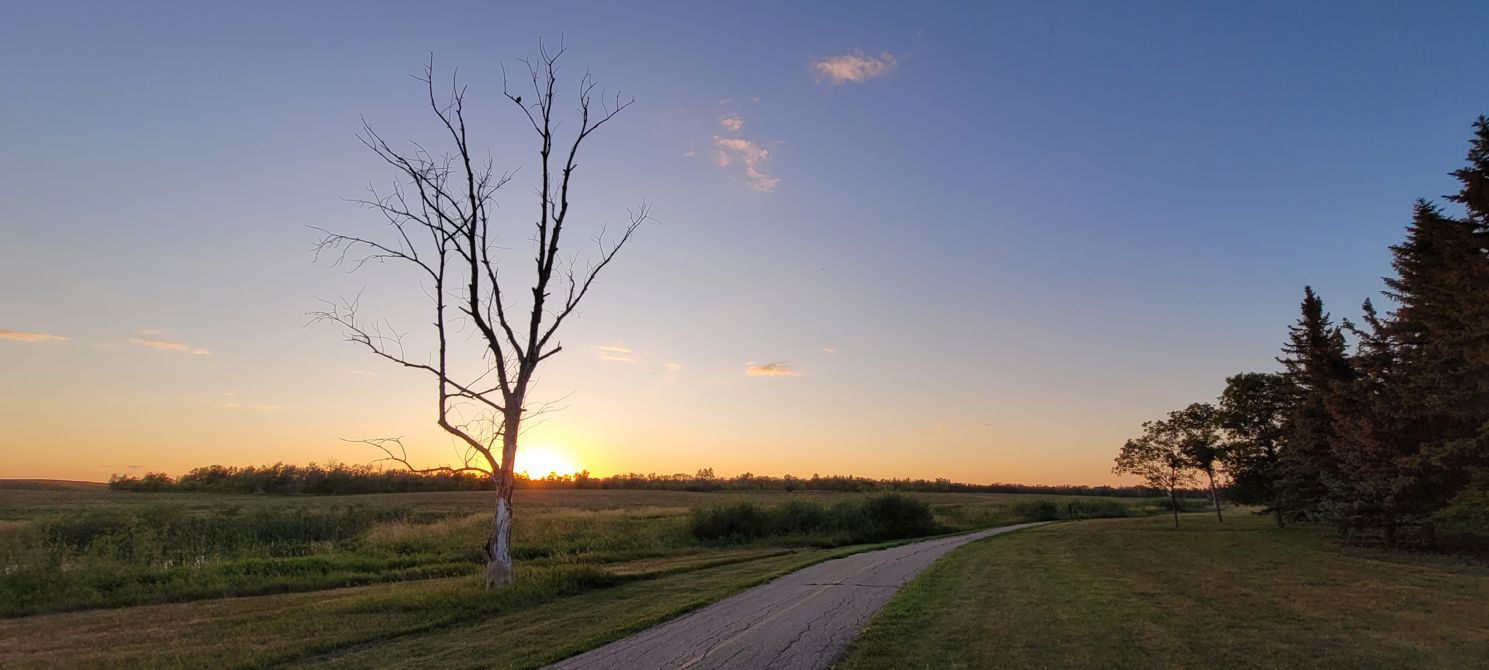 Into the sun trail ride.