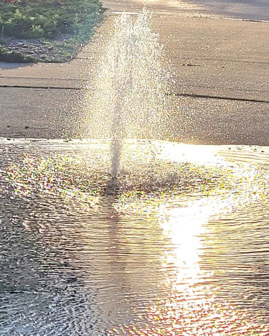 Water, the gift that keeps on giving.