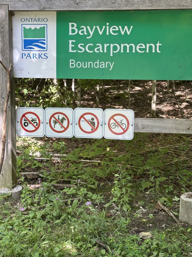 The day of the Monarch Butterfly