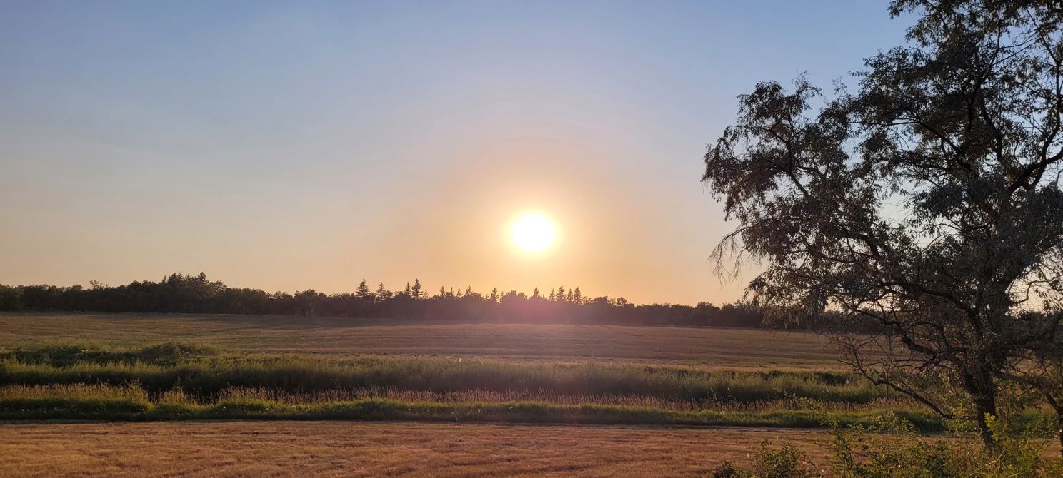 Hot prairie sun